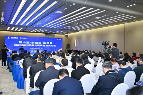 2025中關(guān)村論壇系列活動(dòng) 聚焦科技服務(wù)業(yè)高質(zhì)量發(fā)展，工程技術(shù)服務(wù)引領(lǐng)創(chuàng)新未來(lái)